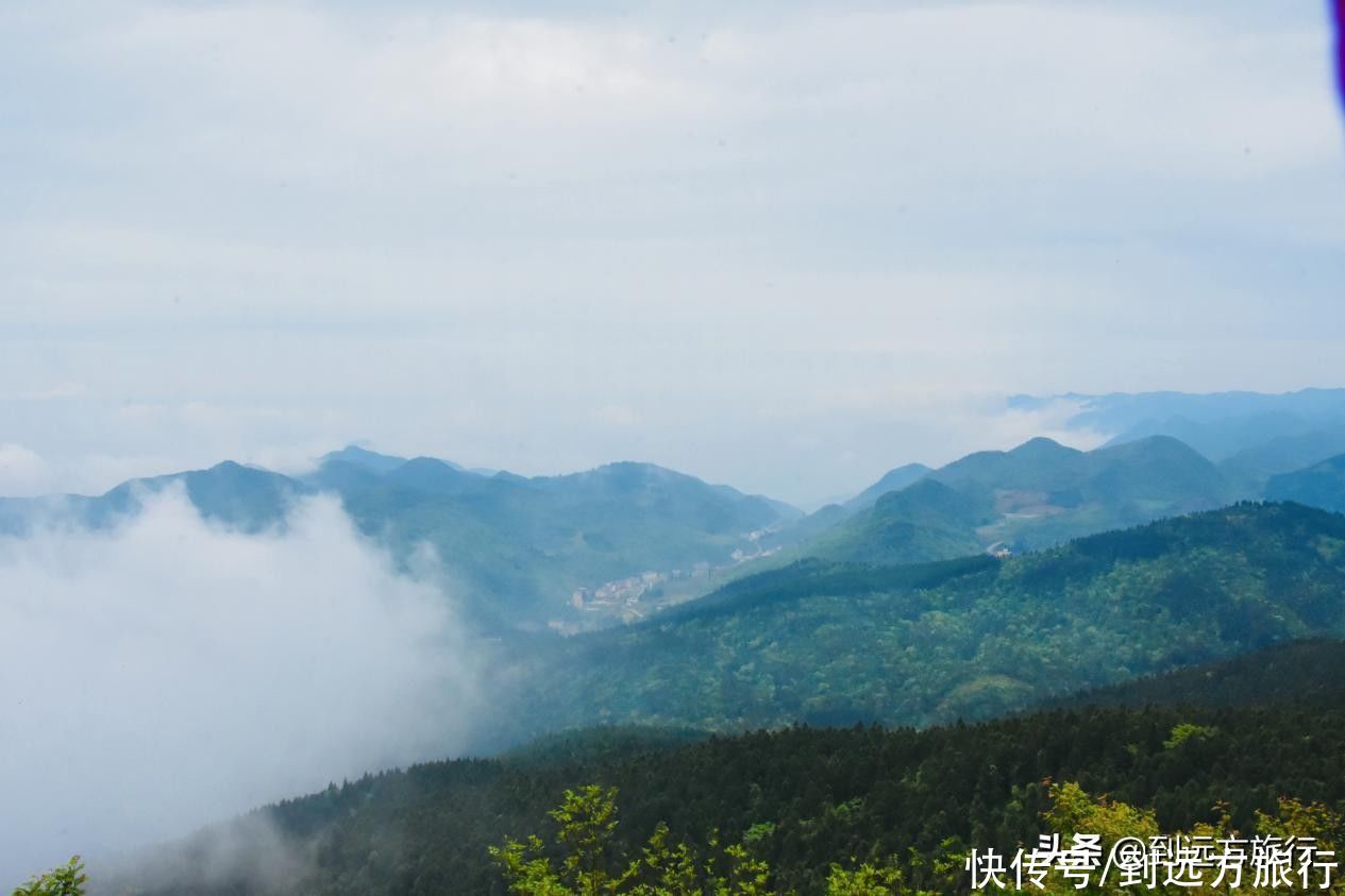 武陵山国家森林公园|打卡江城涪陵，玩转绝美山水秘境，有这篇攻略GO了