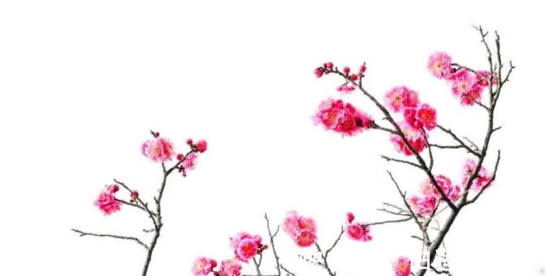 一生|人的一生,一切皆注定,天命不可违