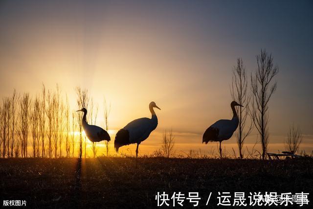 认知障碍|60岁以后,5件事不得不怕、不得不防!记住,并转告给老友们