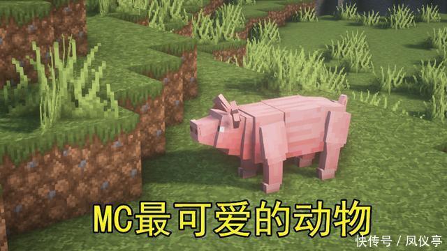 趣图|我的世界：7张mc趣图，绿宝石帽子你会戴吗？老玩家才看的懂