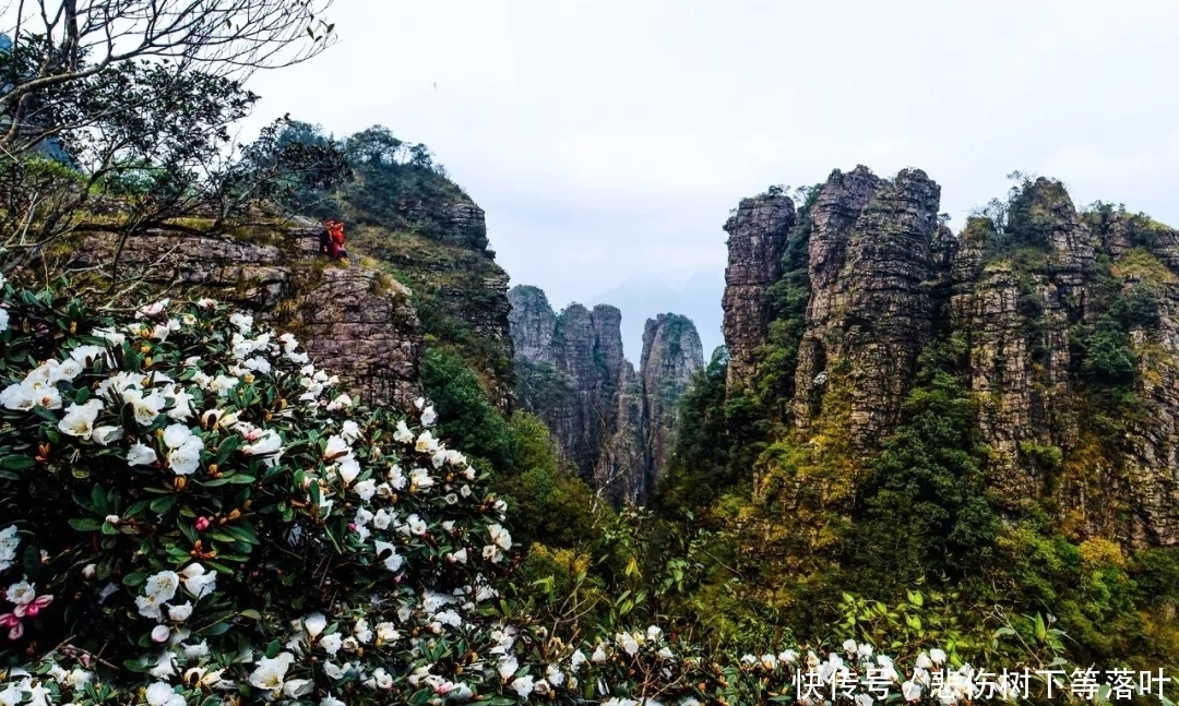 千山一碧，广西这个地方景色不输张家界，隐秘如世外仙境！