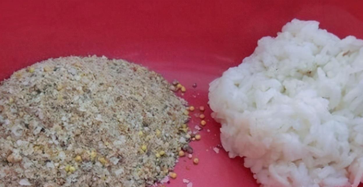 秘制诱钓结合的天然腥味鱼饵,鲫鱼鲤鱼抢着吃,制作简单实用!