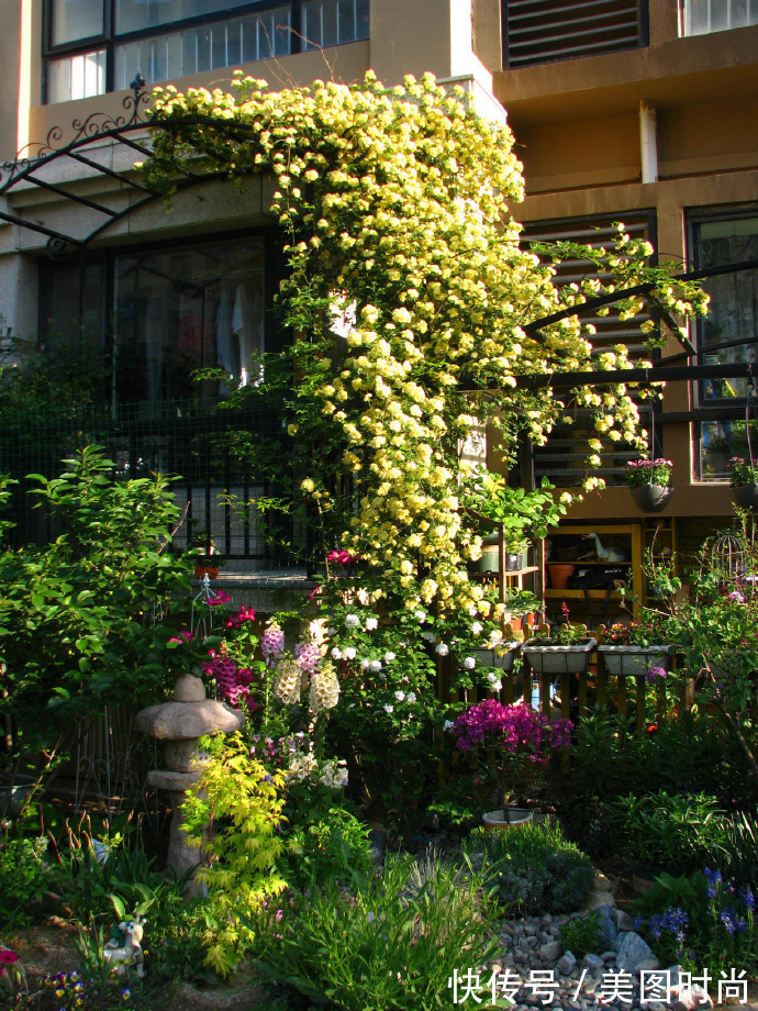 阳台上|为建花园,不顾反对买了一楼带院子,3年的亲手布置朋友都羡慕了