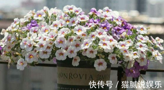 这9种花园,随便1个都美上天了,有一种这辈子就满足了!