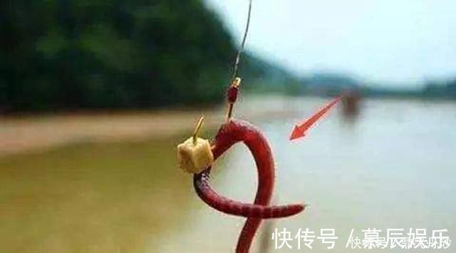 概率|钓鱼时到底该不该露钩别争论了,实践才能出真知