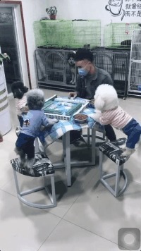 |搞笑GIF:伴娘你可真是有心计啊,这样藏鞋子谁能找得到啊