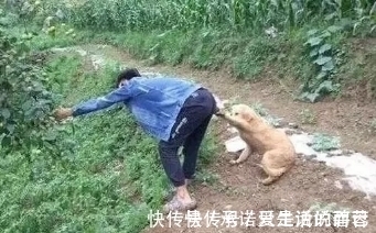 |搞笑图片幽默段子笑话:妹子你在干嘛呢,感觉没有出力啊?哈哈哈