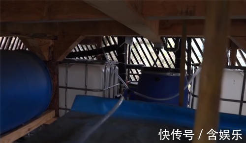 小菜园|他用40棵松树,在荒山野林建起小屋,屋顶种菜生活自给自足