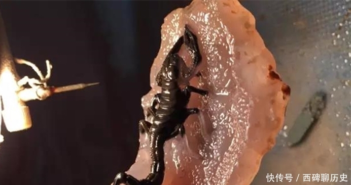 大开眼界,不要不识货,原来玉皮也可以这么美!