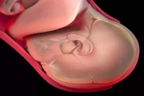 宝宝|女性分娩疼的“要死要活”时,胎宝啥感受,看完你可要忍住别笑