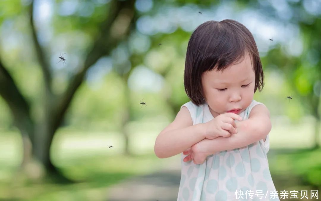 孩子|宝宝被蚊子叮咬可能会存在哪些“潜在危害”?看完宝宝少遭罪