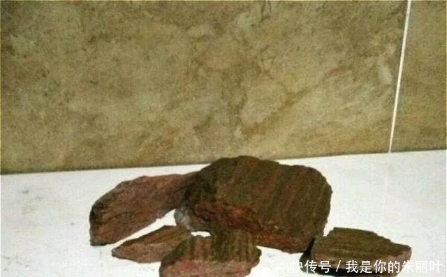 养花|大爷用石头、盘子来养花,布局造景,这就是山水盆景的魅力!