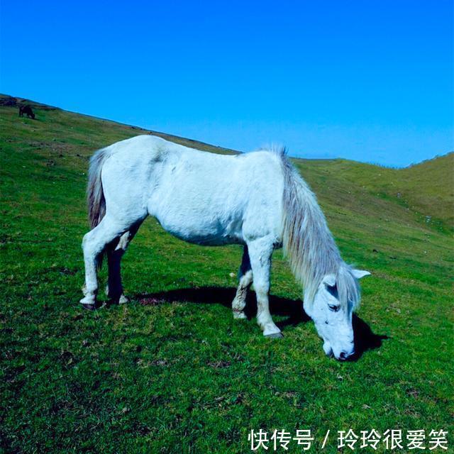 湖南“小西藏”，占地40平方千米，草原风光堪比锡林郭勒