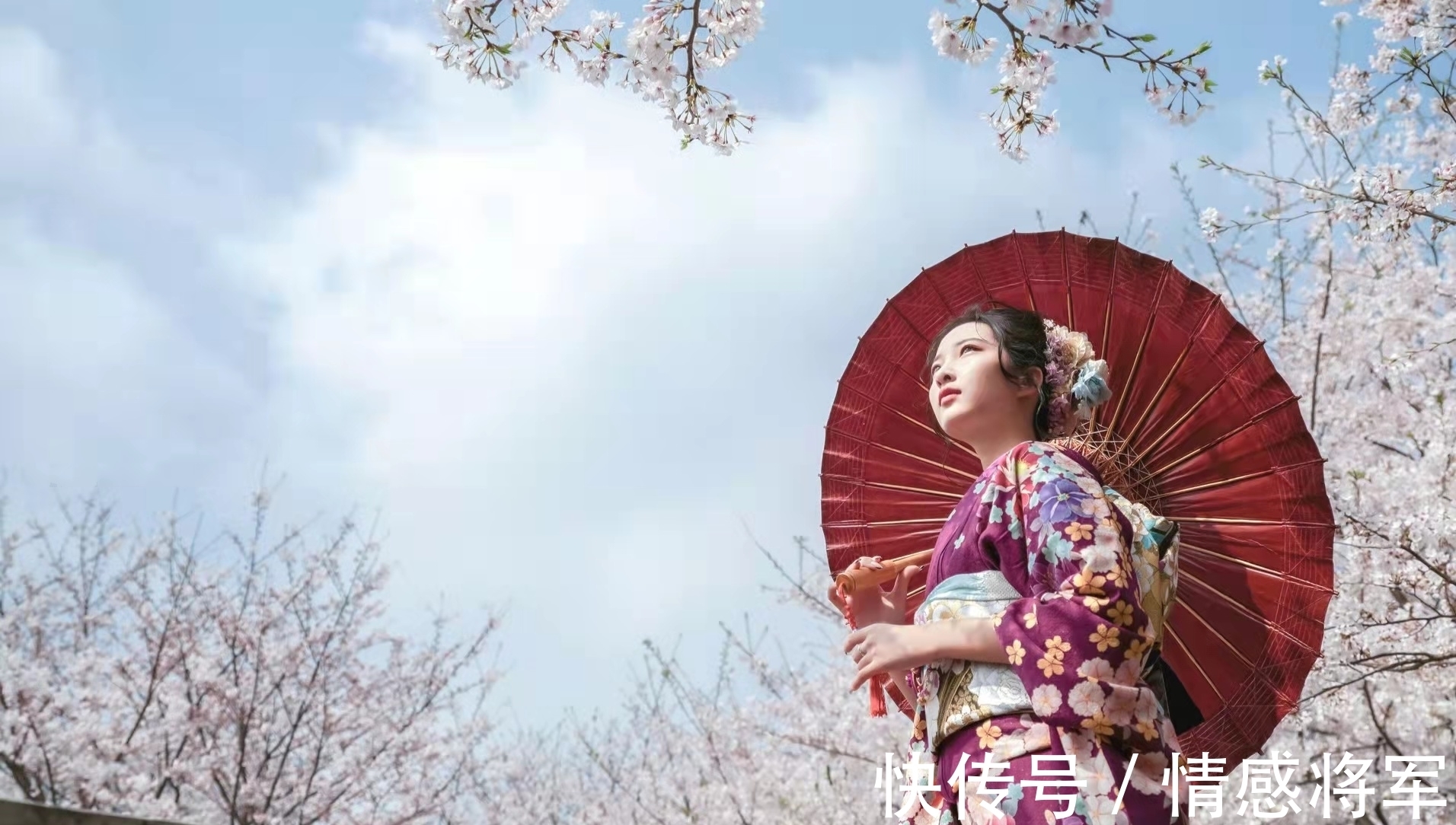 犬豚!七言格律:春飞玉宇空来鹤,酒兴山川乱卷云