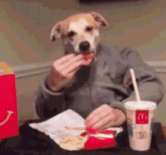 |搞笑GIF:一转身美美哒