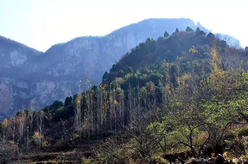 陵川红豆杉大峡谷