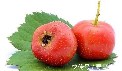 薏米|山楂和4物搭配泡水喝，连喝一个月，湿气排光光