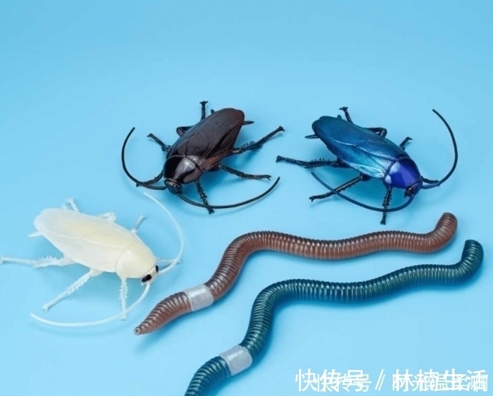 海洋堂|你见过哪些奇怪的手办模型?蟑螂、蚯蚓为原型的手办,还原度太高