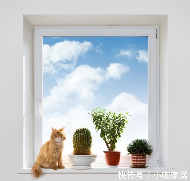 花草|冬季养花,晨起少做4件事,花草或会“感激”你