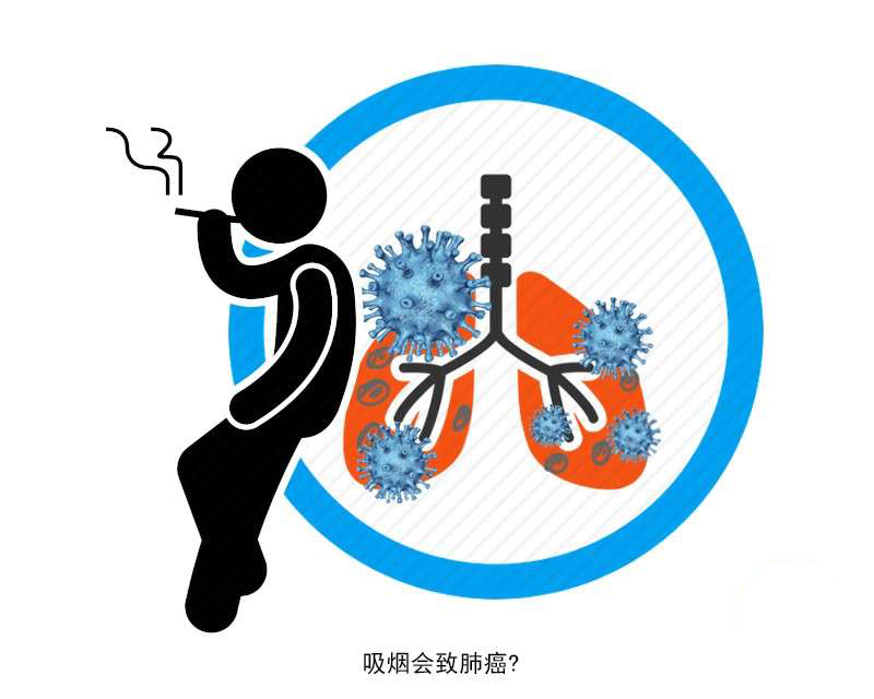 行为|这5个行为或损伤血管健康,若你有,赶紧改,或避免血管堵塞