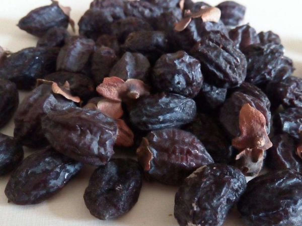 白果|天然“青霉素”被发现了,女人使劲吃,消炎杀菌,炎症或自然消