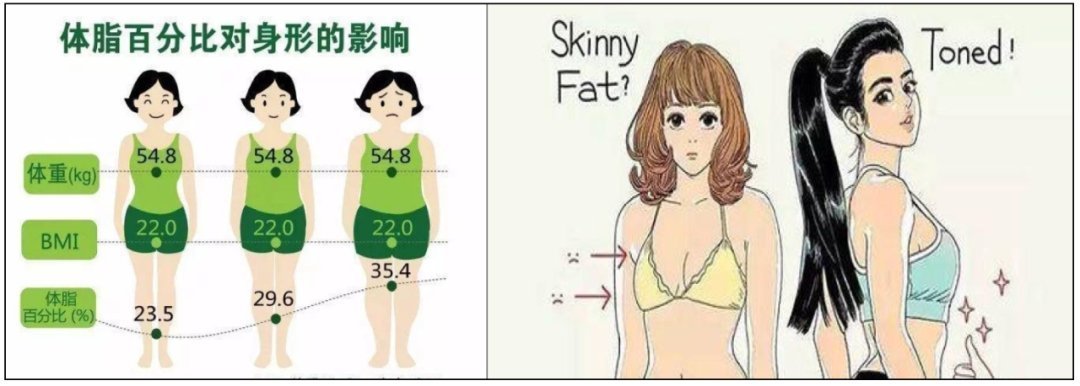 血橙|减肥≠减重?Yes,你更需要的是减脂——意大利西西里血橙提取物