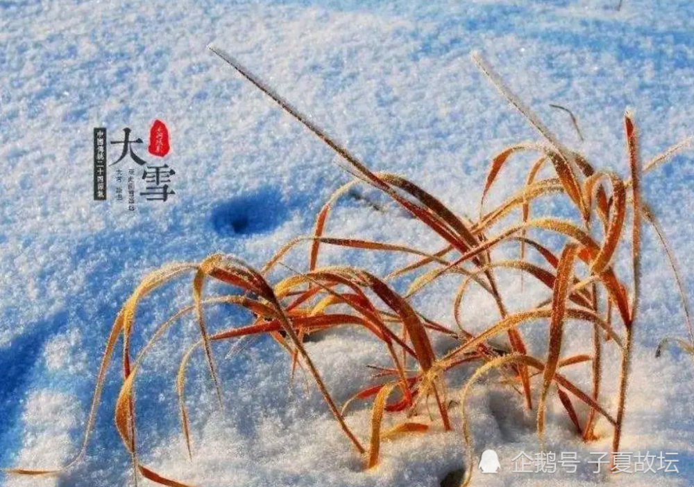  九天|大雪节气：万树有花春不红，九天无月夜长白