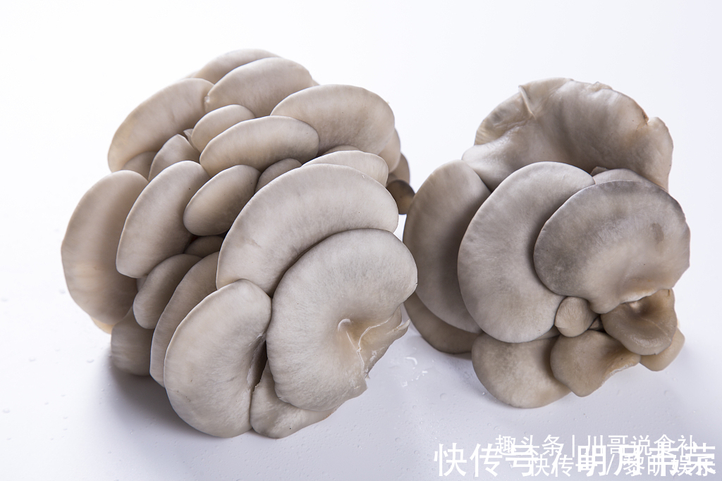 菜农|买平菇时，挑大的还是小的老菜农教您一招，别再买错了