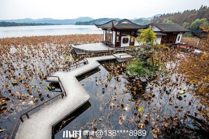 摄友|你在北方的冬天里看雪景，我在南方的冬天里看秋景