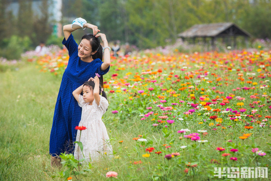 花海|缤纷花海，定格精彩