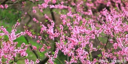 孟郊|柳永这首词与孟郊《登科后》有异曲同工之妙,描写进士及第的得意