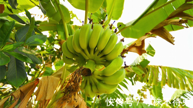 尿意|22个冷知识：为什么刚想入睡，就会产生尿意