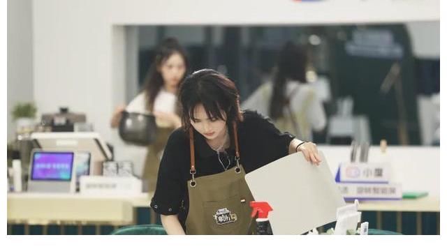 综艺|过家家！《中餐厅5》嘉宾完全不会做饭，伪经营类综艺真看不下去