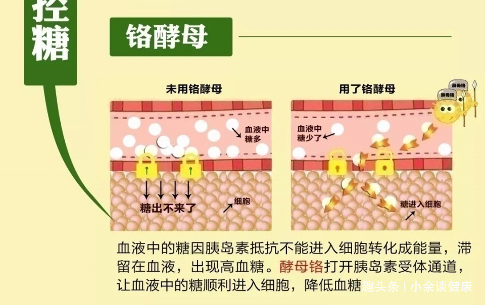 高血糖|糖尿病每天吃饭和“三种食物”一起吃，几天血糖就能稳定到5.8