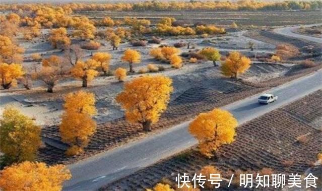 大沙漠|中国在塔克拉玛干沙漠，砸“重金”种大量植物，如今有回报了吗？