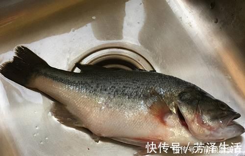 鱼肉|清蒸鲈鱼，加盐和料酒都不对！牢记这3点，鱼肉鲜嫩不柴不腥