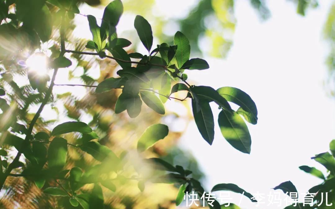 寒性体质|三伏，一年一次彻底排寒的机会