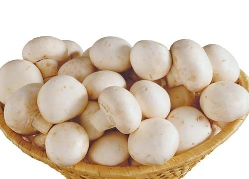 双孢菇|每天可以多吃3种食物，防止便秘、促进排毒，好吃又不贵！