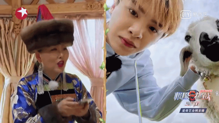 盘点 2021 年下饭综艺，这几部综艺让人笑到“头秃”