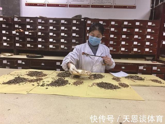 治疗癌症|老人说农村房屋上的壁虎可以治疗癌症,是真的吗?