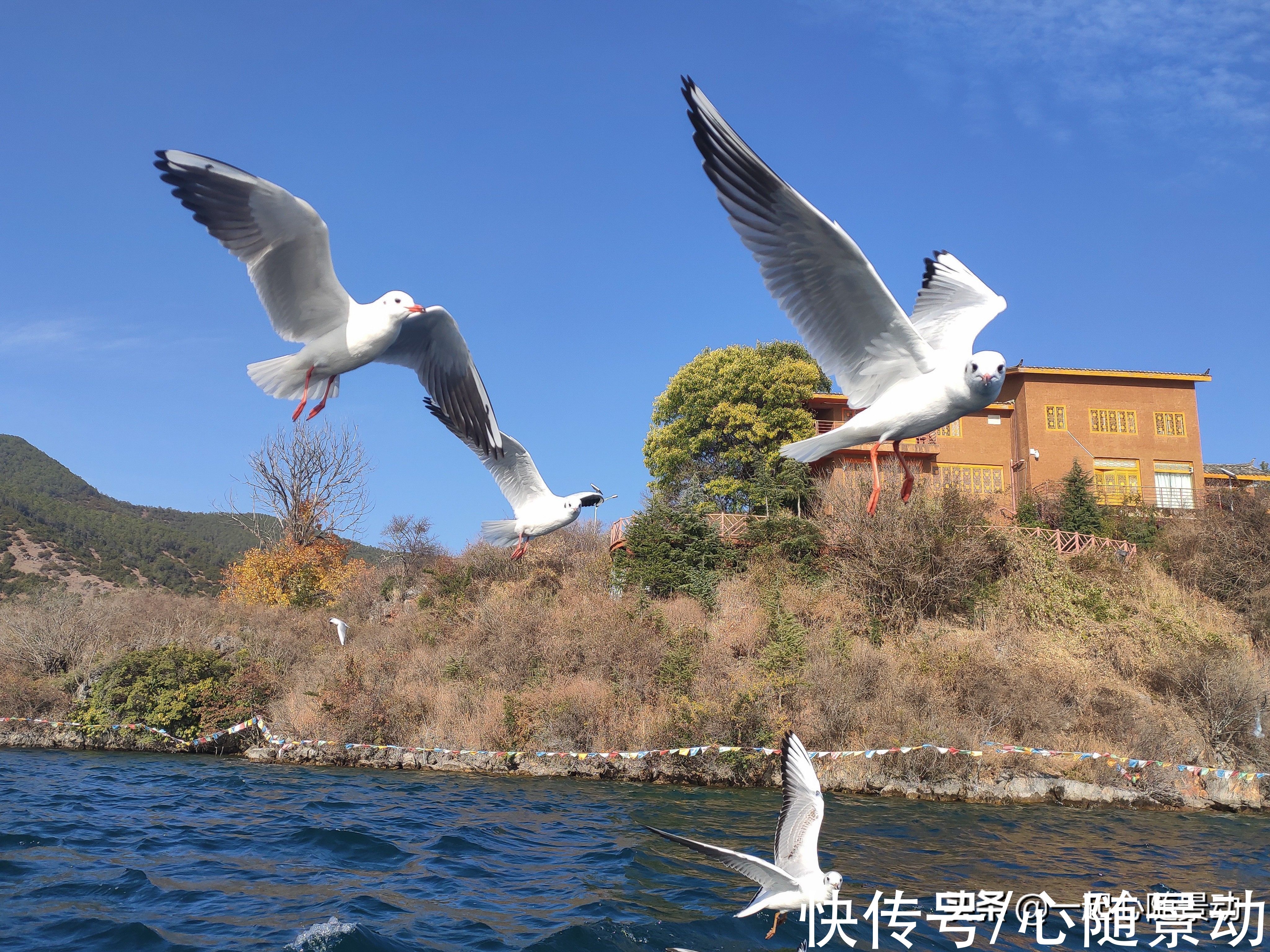 猪槽|冬季的泸沽湖，湖水像蓝宝石，美如世外桃源，去一次还想再去一次