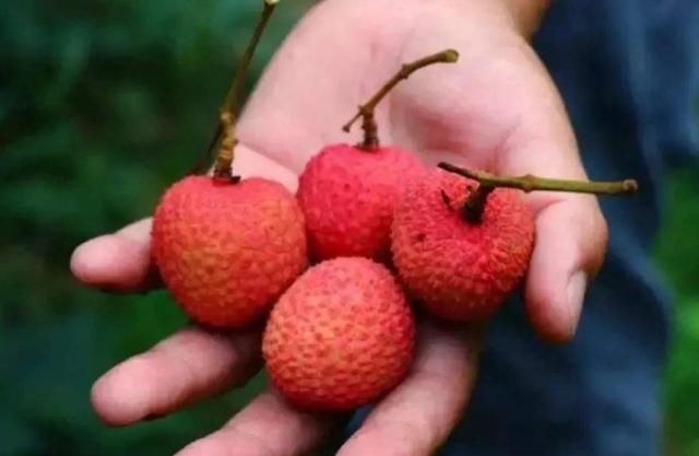 小女孩儿|九岁女孩来例假会不会太早，大夫3种东西，一定别给小孩子吃