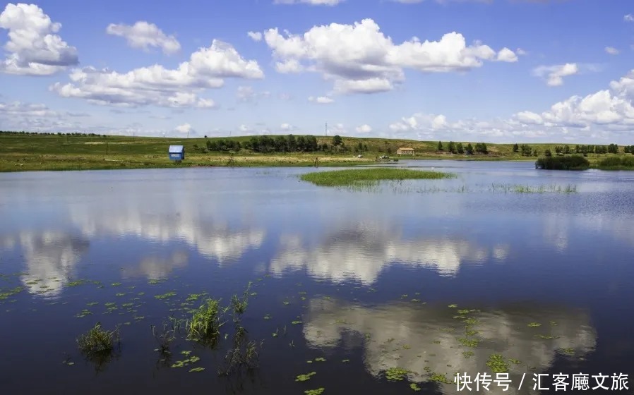 蒙古族|夏天的内蒙古草原，究竟有多美？