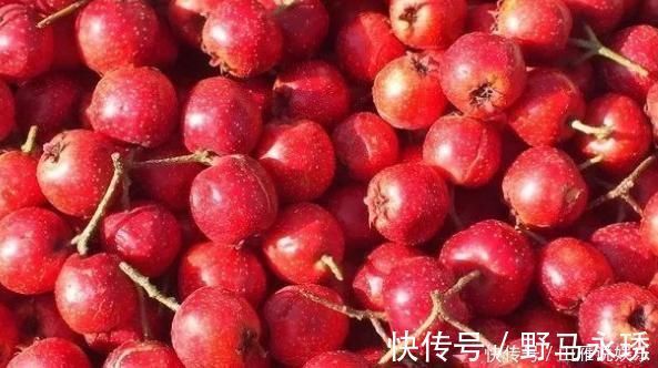 山楂|怀孕的准妈妈,这几类水果最好别碰对胎儿发育和孕妇自身都不好