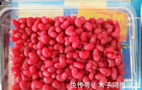 你见过最萌的植物都长什么样，此几种萌得不得了，快瞧瞧吧