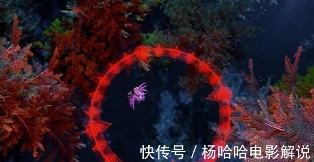 漫画|斗罗大陆107集小舞当真认错了妈妈的魂环吗这个锅，小舞不背