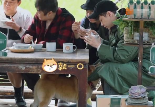 张艺兴《向往5》从不喝特仑苏,不是不能是不敢,一口赔偿上百万