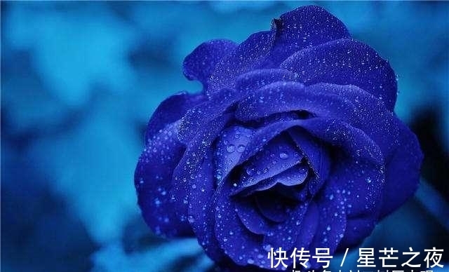 属兔|10月期间，缘分与桃花闯入心头，迎幸福爱情，情定终生的四大生肖