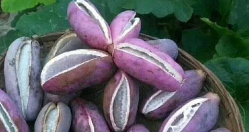 女性担心自己老太快，要多吃3种食物，补充营养，好处多多