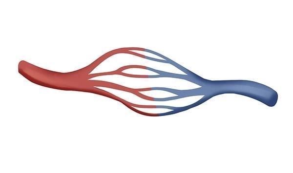 肝脏|无论男女,每天睡前敲敲大腿内侧,好处会“悄悄到来”